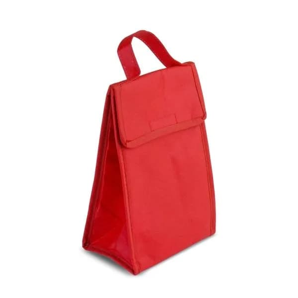 Bolsa Térmica em TNT 80g/m² Personalizada - imagem 1